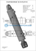 Гидроцилиндр ЦГ-80.50х255.38
