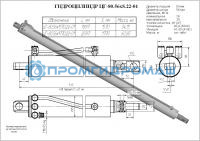 Гидроцилиндр ЦГ-80.56х1770.22-01