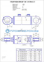 Гидроцилиндр ЦГ-125х80х710.11