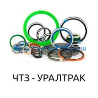 Ремкоплект РК-ПК46-125.70/1б-ЧП