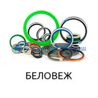 Ремкоплект РК-ЭБП11-110.56/2-ПП