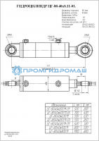 Гидроцилиндр ЦГ-80.40х800.11