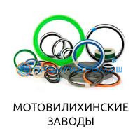 Ремкоплект РК-МКА25-125.100/3-МП
