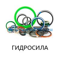 Ремкоплект РК-НШ100В/3-ГП
