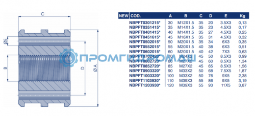 Поршень NBPFT0301215